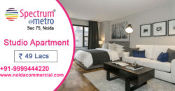 Spectrum Metro Studio Apartments