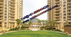 Ace Parkway Noida