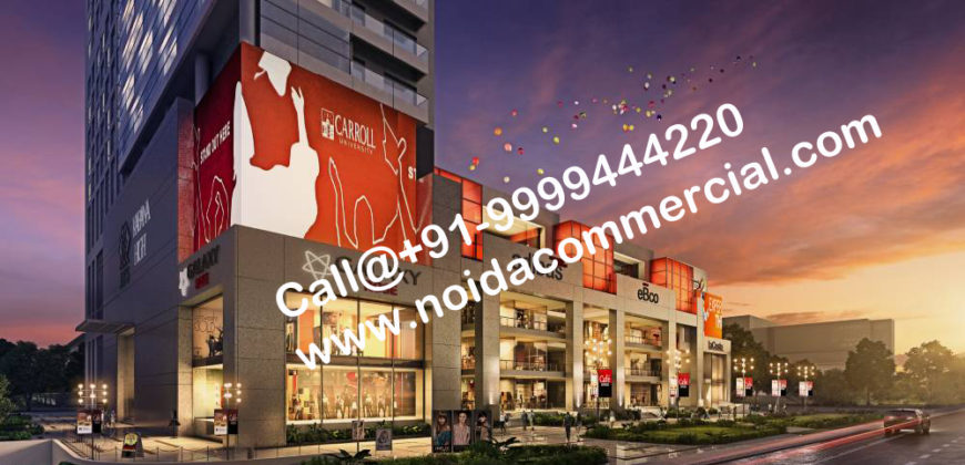 ATS Kabana High Noida Extension