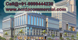 PKS Town Central Noida Extension