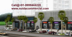 PKS Town Central Noida Extension