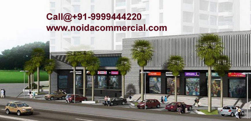 PKS Town Central Noida Extension