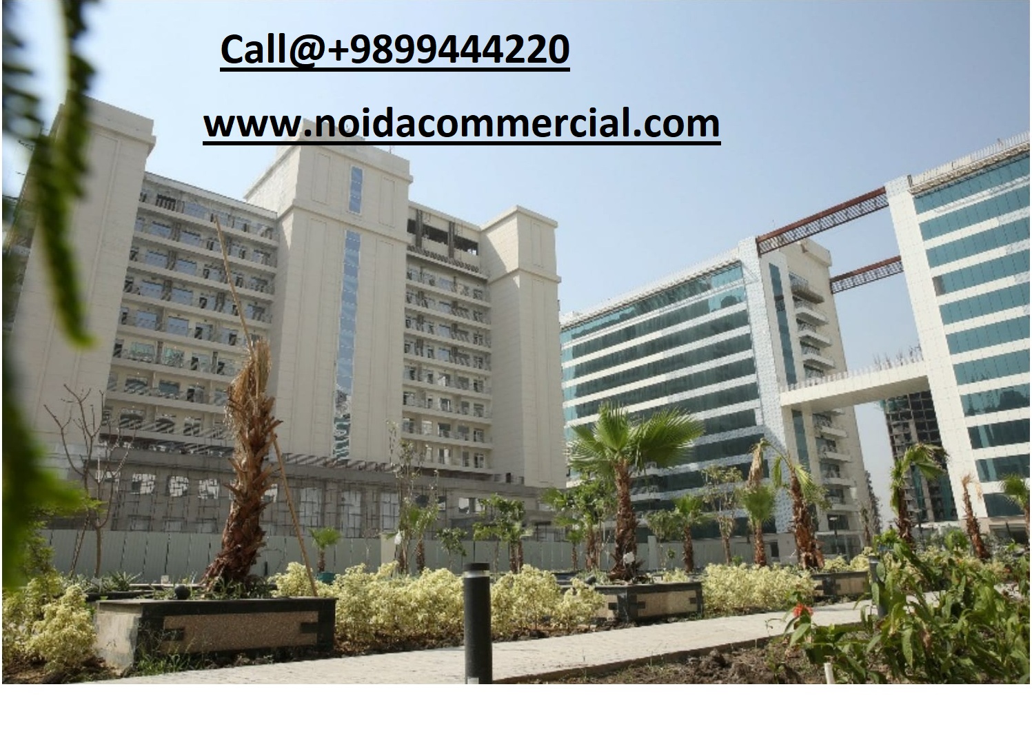 Top Hotels in Noida (2024) - Places to stay in New Delhi and NCR, India