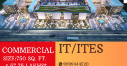 ACE 153 Noida